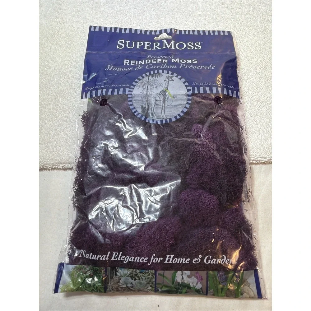 2oz of Soft, Vibrant Purple Reindeer Moss - A Delight for Eco-Conscious Crafters